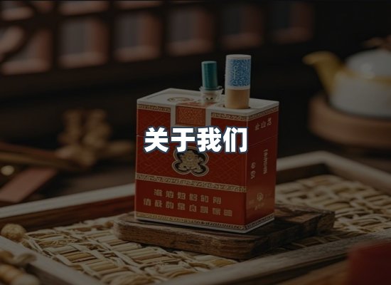 专业团队